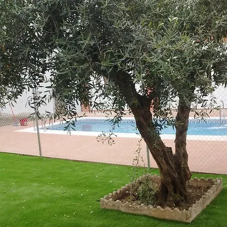Turisticos Domus Aquae